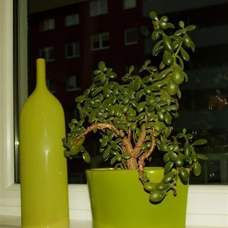Tk Apartments Spizowa *